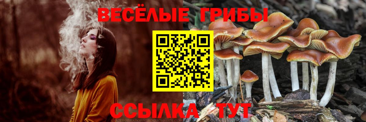 АМФЕТАМИН Тихорецк