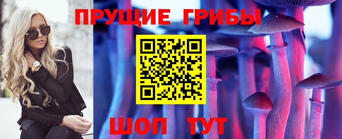 Галлюциногенные грибы мицелий  Вход с VPN  Тихорецк 