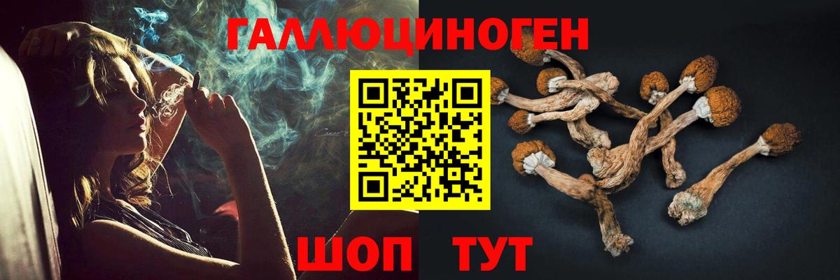 Псилоцибиновые грибы Magic Shrooms Тихорецк